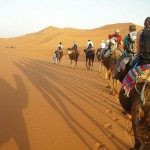 Merzouga: Sunset desert trek on camel